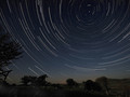 Fot. 1: Ruch gwiazd wokół bieguna niebieskiego, fot. Carl Jones, źródło: www.flickr.com