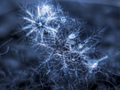 Samopodobieństwo dostrzeżone w naturze – płatek śniegu (b). Fot. Alexey Kljatov, źródło: www.flickr.com, dostęp 10.02.15
