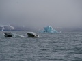 Po drodze mijaliśmy odłamy gór lodowych. Niektóre miały piękny, błękitny kolor (fot. E. Kapusta)
