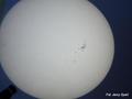 Fot. 2. Obraz Słońca rzutowany na ekran z
małego teleskopu. Zdjęcie wykonane 11 lipca 2012 r. Obraz ten jest odwrócony
stronami w porównaniu z fot. 1, ale widać zmianę położenia plam na tarczy, co
jest skutkiem wolnej rotacji Słońca (fot. Jerzy Speil).
