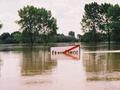 Powódź tysiąclecia z 1997 roku. Pod wodą miejscowość Stary Dwór. 