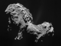Jądro komety sfotografowane w czasie misji. (zdj. www.wikipedia.pl)