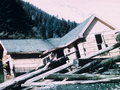 Zabudowa Alaski w większości drewniana spowodowała, że ofiar było mnij 
niż można się było spodziewać. Źródło: cgs02026, NOAA's Historic Coast 
&amp; Geodetic Survey (C&amp;GS) Collection 
