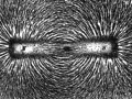 Opiłki
żelaza układają się wzdłuż linii pola magnetycznego magnesu. Ziemia też jest
magnesem, zatem linie jej pola będą wyglądać bardzo podobnie. Źródło: http://pl.wikipedia.org/wiki/Pole_magnetyczne#mediaviewer/File:Magnet0873.png