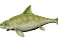 Oto inne wyobrażenie ichtiozaura, pod względem ubarwienia ciała prawdopodobnie dalekie od rzeczywistości. Grafika: http://pl.wikipedia.org/wiki/Plik:Ophthalmosaurus_BW.jpg