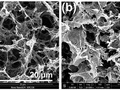 Fot. 1. Zdjęcia ze skaningowego mikroskopu elektronowego (SEM) ujawniają strukturę powierzchni (a) oraz przekroju (b) aerożelu zbudowanego z grafenu. Aerożel jest bardzo porowaty (składa się z grafenu oraz powietrza wypełniającego puste przestrzenie), dzięki czemu materiał osiąga niewielką gęstość.
