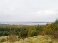 Widok na Pustynię Błędowską z Czubatki. Fot. Piotr Andryszczak