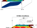 Pionowy rozkład wody u wybrzeży Ameryki Południowej w czasie normalnych warunków (rys. górny) i w czasie El Niño (rys. dolny). (NOAA/PMEL/TAO)