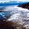 Wyniesienie dna morza w wyniku trzęsienia ziemi. Źródło: USGS, ID. Alaska Earthquake no.1Ct aeq00001, dostęp 27.03.2014<br>
