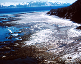 Wyniesienie dna morza w wyniku trzęsienia ziemi. Źródło: USGS, ID. Alaska Earthquake no.1Ct aeq00001, dostęp 27.03.2014