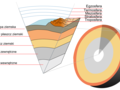 Schemat budowy naszej planety. (z:wikimedia.org)
