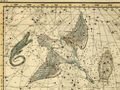 Fragment XVIII-wiecznej mapy nieba obejmujący gwiazdozbiory Jaszczurki, Łabędzia i Liry. Źródło: http://forum.gazeta.pl/forum/w,101385,141101821,145695078,Gwiazdozbior_Labedzia.html