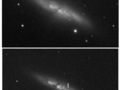  Dwa
obrazy galaktyki M82. Górny wykonano przed pojawieniem się gwiazdy supernowej,
na dolnym SN 2014J zaznaczona jest kreseczkami.

Źródło:http://pl.wikipedia.org/wiki/Plik:M_82_supernova.jpg

